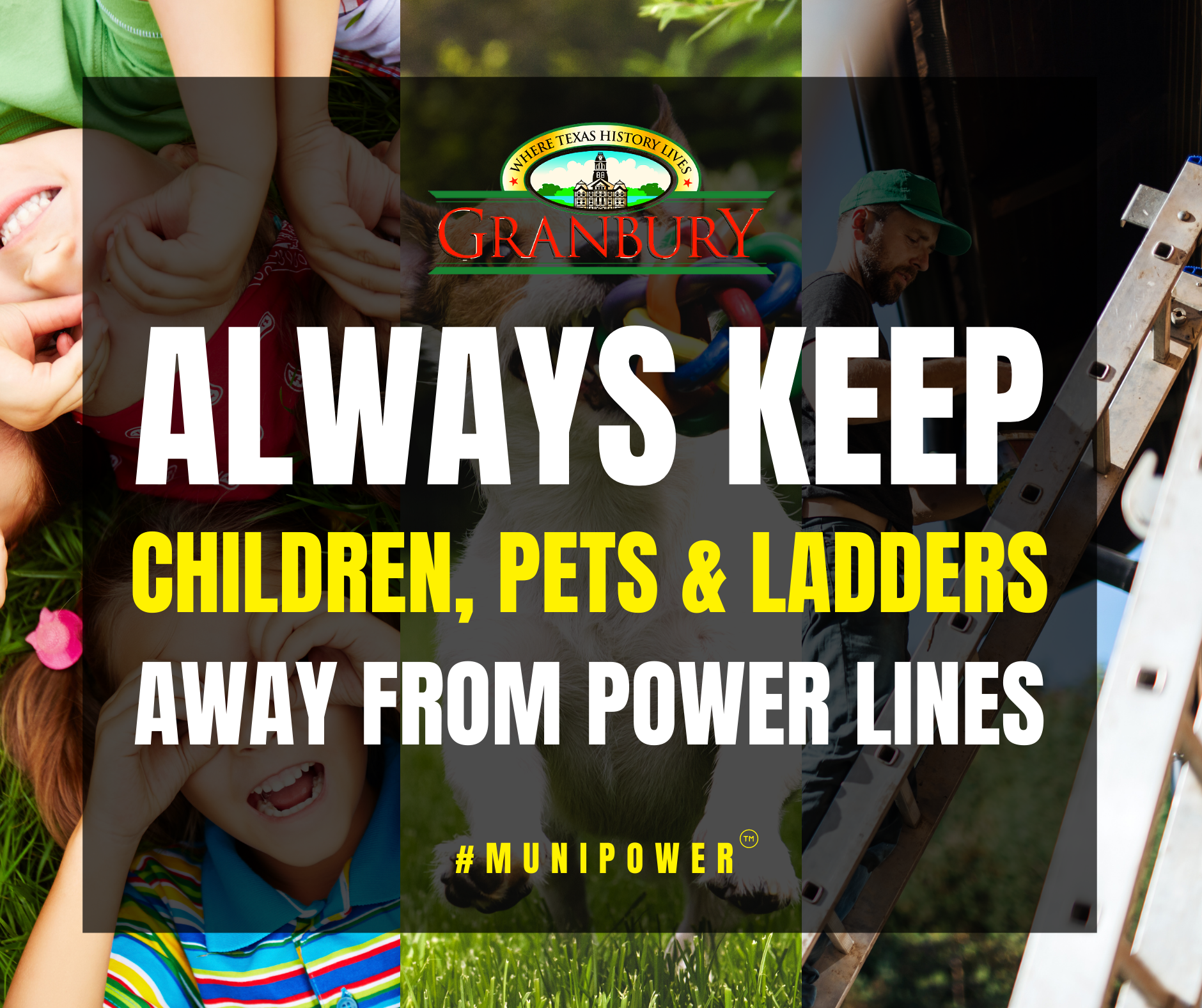 5 - Safety - Ladders