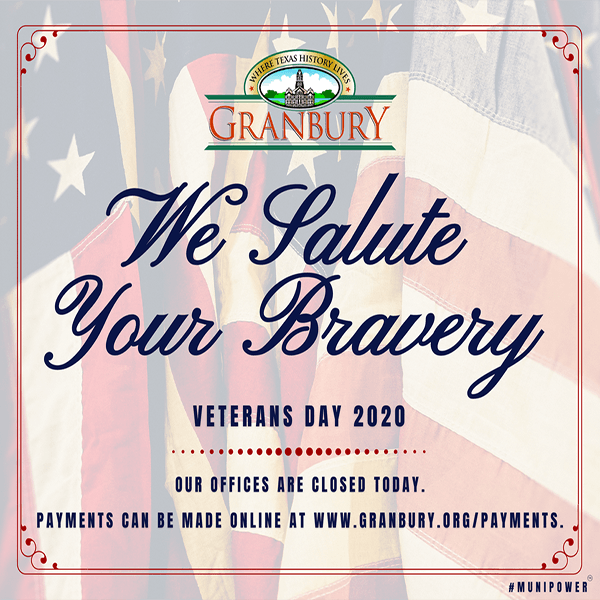 3 - Veterans Day graphic