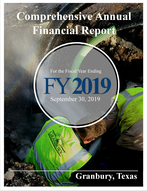 ACFR FY 2019_Cover