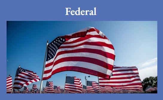 Federal