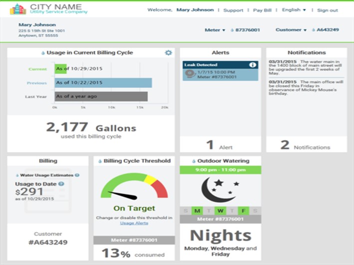 water meter web interface image.jpg